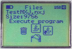 File options. Choose Execute program to run it.