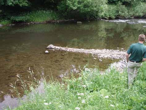 Photo 8 Upstream pointing log