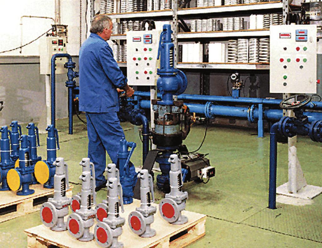 Our in-house dynamic test facility employs the latest rapid data capture software to record and assess the performance characteristics of each valve under development.