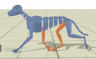motion of the abstract quadruped model (Figure 3). Gait graphs: Quadruped gaits are characterized in large part by the timing and relative phasing of the swing and stance phases of each of the legs.