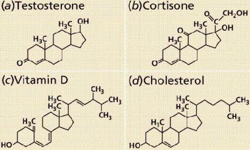 Steroid Hormones All steroid hormones have a common chemical backbone, derived from cholesterol Slight differences in branches