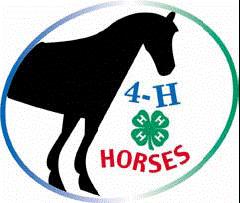 Skill-a-thon Members must bring their completed livestock/horse entry form to be turned in, entry forms will be mailed to each member Evaluation of livestock and horse project knowledge through