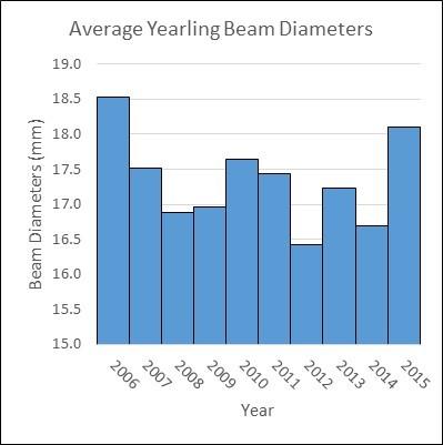 Figure 4 DMU 065 Beam Diameter Measurements for 1-year old Antlered Deer Beam diameters in DMU 065 have had little fluctuation over the last ten years indicating stability within the herd.
