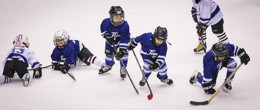 Program Overview The Timbits Program is a partnership between Tim Hortons, Hockey Alberta and Hockey Calgary that focuses on skill development and the FUNdamentals of hockey for kids aged 5 and 6.
