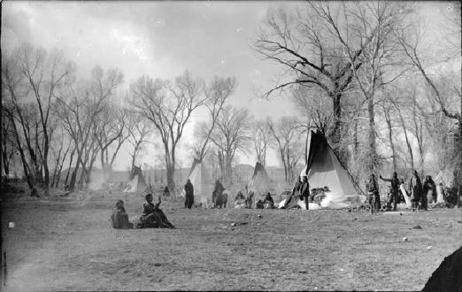 in twos and threes to collect fire wood. After that, they might go out to dig roots or prairie turnips. Men hunted, went on raids, and repaired their bows and arrows.