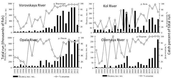 The relationship between juvenile production and the number of chum salmon spawners is not as clear as for other species of Pacific salmon.