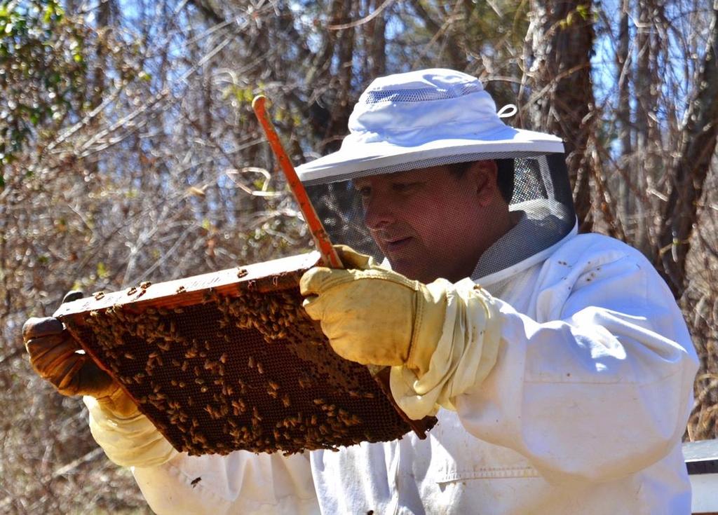Message from the President: Happy Holidays Northeast NJ Beekeepers!