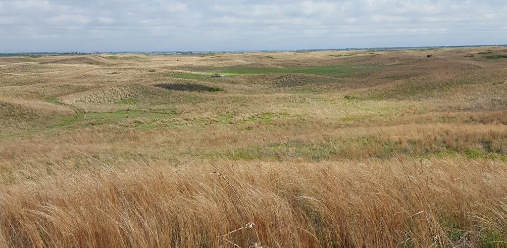 Photo: WAFWA Tom Hammond s ranch is protected by a permanent conservation easement to provide lesser prairie chicken habitat. as well.