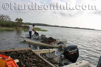 a 250-horsepower Yamaha marine engine. Two boats with oysters harvested by two men are checked Saturday morning.