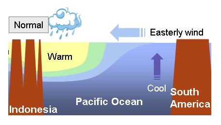 2 Warm water move eastward.
