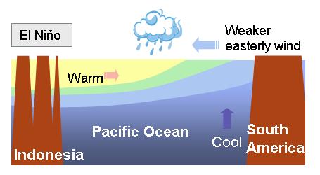 Atmosphere-ocean interaction during El Niño Normal condition Active convection El Niño condition Active convection water water water