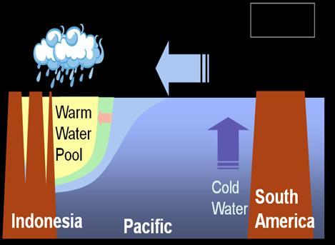 Atmosphere-ocean interaction during La Niña Normal condition