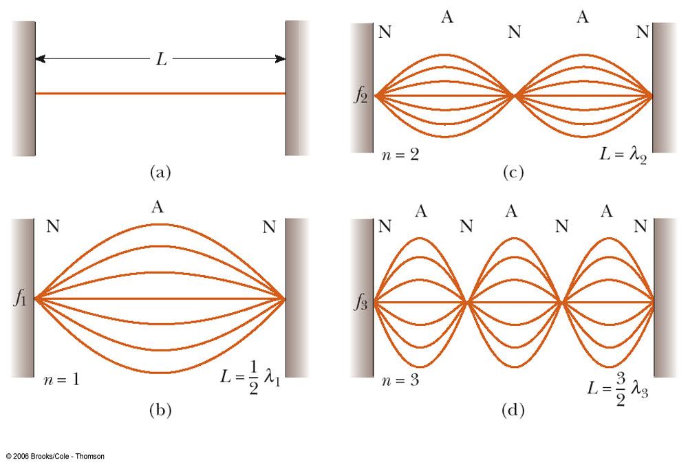Standing Waves on a String The lowest frequency of vibration (b) is called the