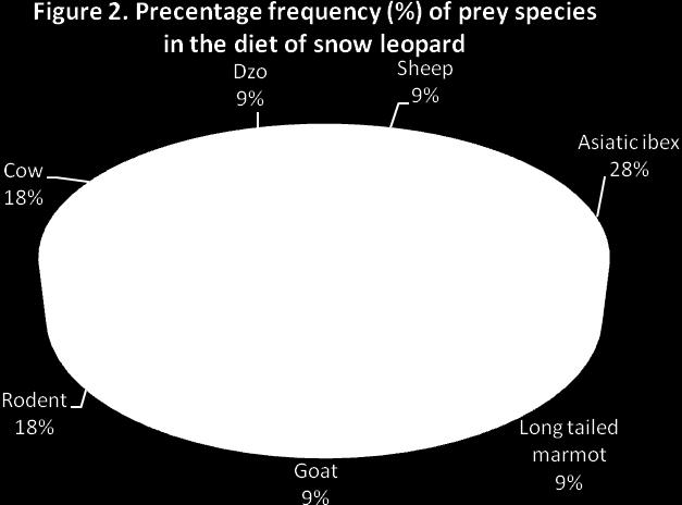 Among the nine scats, five scats were comprised of single prey, three scats of two prey and one scat of three prey species.