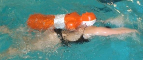 Back-of-head/neck carry Competitors swim on their back, side or front and may use any kick or stroke.