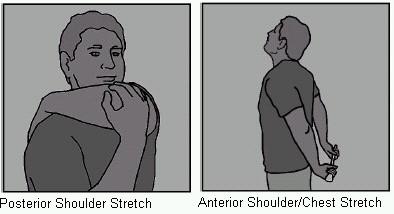 Hold each stretch for at least 30 seconds in a static position.