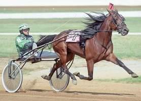 Starting at noon on Sunday, the Standardbred race horses will be on the track warming up for 2 special races they will be running for 4H. Please put all horses in the barn or tied to a trailer.