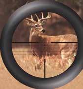 Crossbow Precalibrated from 10 to 100 yards Numbered fast fire reticle Illuminated