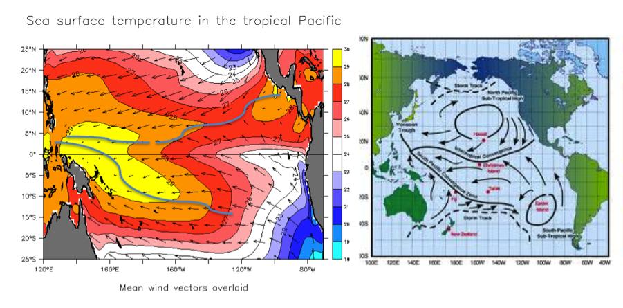 The warm pool precipitation extends eastward into the Pacific north of the equator at about 7N as a linear feature, the INtertropical Convergence Zone (ITCZ), and south eastward into the South