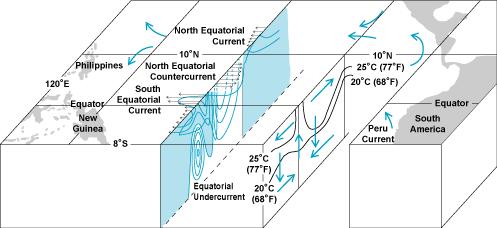 Fig. 7. Cross-section of equatorial current system in the Pacific. From http://www.accessscience.com/. The annual cycle of tropical SST is shown in Fig. 8.