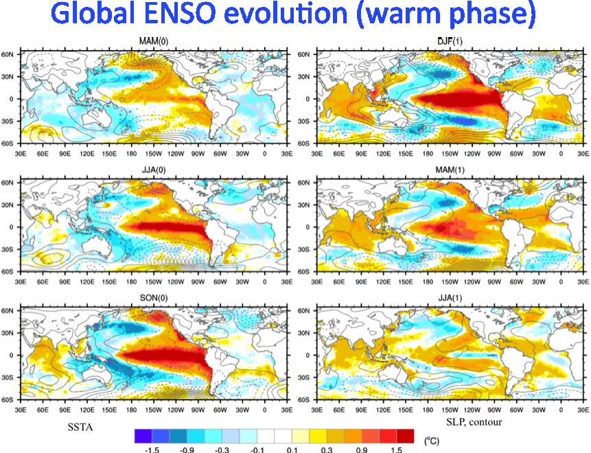 phases of ENSO tend to have expression all the way across the Pacific (Fig. 12), from the coast of South America (Nino 1+2 region) to the western Pacific (Nino 4; see Fig. 1 for the regions).