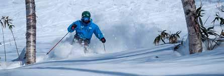6.3 POWDER SKIING The goal of linking rhythmical turns down long powder runs is the dream of many skiers but powder does create many challenges.