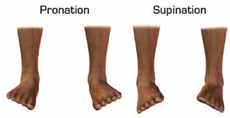 This allows the movements of: Pronation turning the foot so the sole faces outward or laterally (big toe side rotates down) Supination turning the foot so the sole faces inward or medially (little