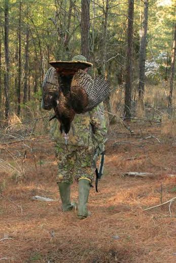 SPITTIN AND DRUMMIN : MISSISSIPPI WILD TURKEY REPORT Steve Gulledge Join Our Spring Gobbler Hunting Survey Team Help the MDWFP with the conservation & management of turkeys in Mississippi.