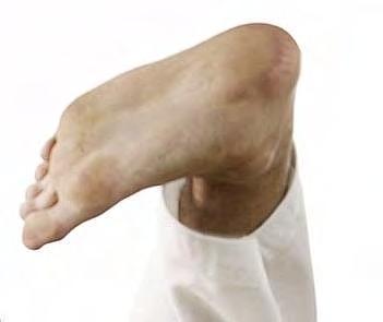 Foot Techniques: Techniques are delivered by using any part of the foot below the ankle bone.