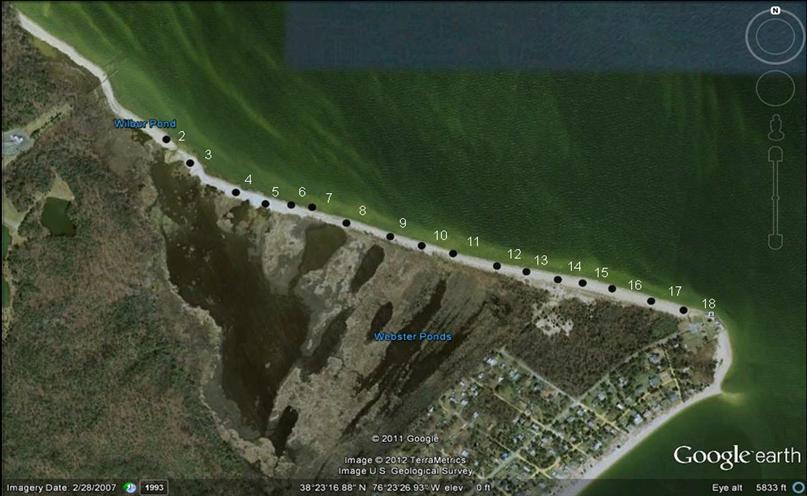 After the 2009 study, restoration began on the northern section of the beach. Stone riprap closed the northernmost portion of the beach, while breakwaters lowered wave energy further south.