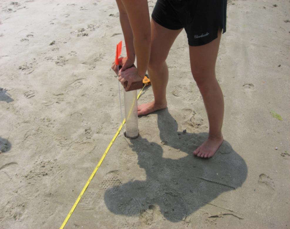 Figure 4. A photo showing a core taken along one of the three 15m transects.