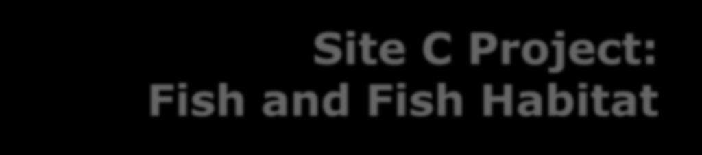 Site C Project: Fish and Fish Habitat Presenters: Jesse McCormick, Donovan & Company Rick Palmer, Palmer Environmental Consulting