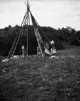 "First, four of the best and longest poles were selected and then bound together by a rawhide rope...two of the women would take these poles and raise them to a vertical position.