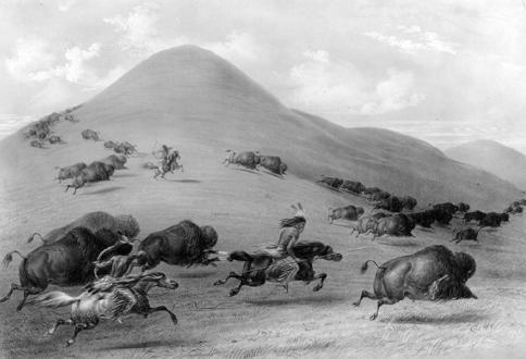 Hunting with Horses What do these photos tell you about how Indians hunted after they had horses? Chasing Buffalo on Horseback This painting shows Indians chasing buffalo on horseback.