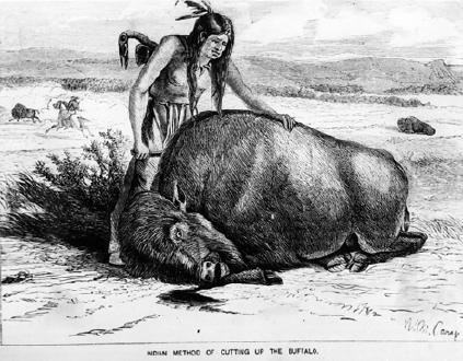 At first, Indians hunted buffalo only with bows, arrows, and spears. Later, Indians got guns from white traders in exchange for buffalo hides. Guns made it easier to kill more buffalo.