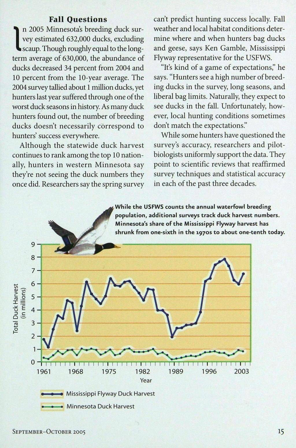 Fall Questions In 2005 Minnesota's breeding duck survey estimated 632,000 ducks, excluding scaup.
