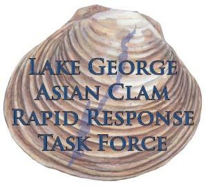 Lake George Asian Clam Rapid Response Task Force NEWS RELEASE Steering Committee Adirondack Park Invasive Plant Program Darrin Fresh Water Institute FUND for Lake George Lake Champlain Basin Program