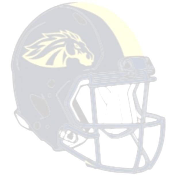 CASTEEL FOOTBALL PROGRAM MANUAL Plan of Action: Focus: EXCELLENCE FUNDEMENTALS TEAM Team Goals: Win Game #1 Undefeated at Home Winning Road Record One Community