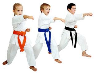 teaching basic skills and developing discipline, confidence and self esteem.