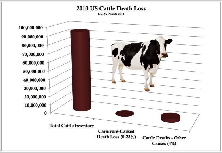 Livestock Losses From Department of Agriculture report 2010 (report also available on this website) Myth: Wolves, coyotes, mountain lions, bears, and others kill lots of cattle.