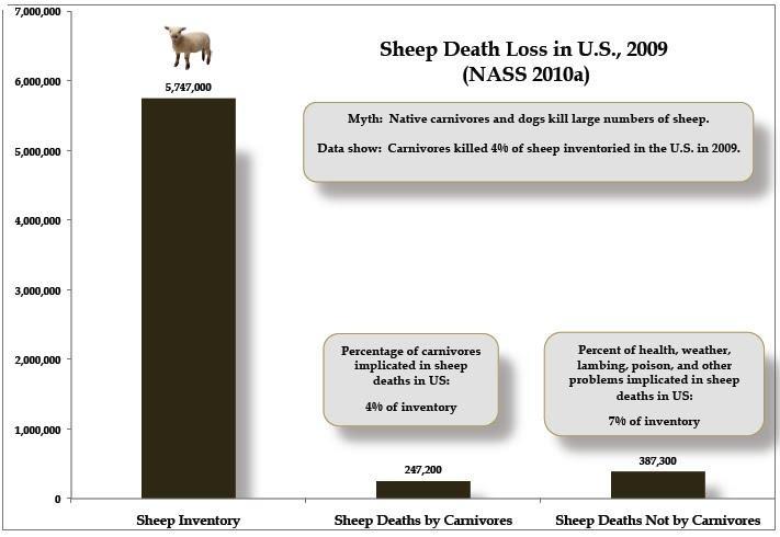 devices. Ironically, while wildlife-killing operations have escalated across the West, the sheep industry has declined, some in agribusiness erroneously complain that predation has increased.