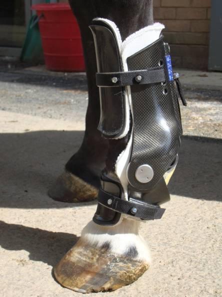 The outer bandage will ensure that the horse does not damage or interfere with the device while in place on the leg, particularly during initial period when it is becoming accustomed to