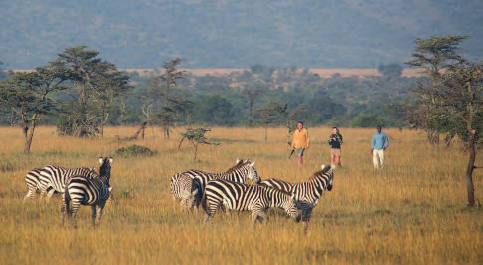 Kenya Explorer DAY BY DAY ITINERARY explorer safari 888.658.7102 info@deeperafrica.