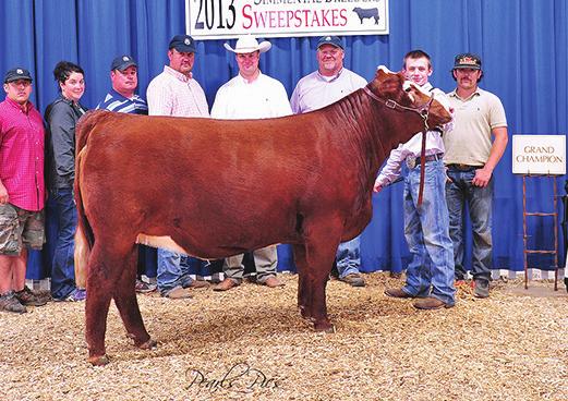 9630 26 FBC Ms Tanqueray HPF Quantum Leap Selling 2 Embryos Guaranteeing 1 Pregnancy HPF Quantum Leap Z952 ASA# 2649657 FBC Ms Tanqueray ASA# 2696998 As a young junior I have always referred to