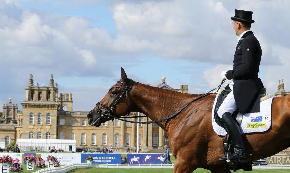 The Event Rider Masters (ERM) CIC3* is a newly launched competition. It will hold it s final at Blenheim in 2016 and will feature the world s top 40 event riders.