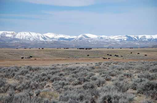 Location: The Mickelson Ranch is located in Sublette County of western Wyoming.
