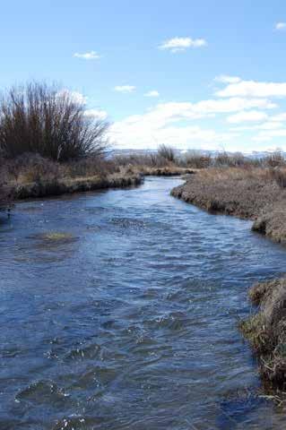 generally eastward towards its confluence with the Green River about 5 miles downstream of the