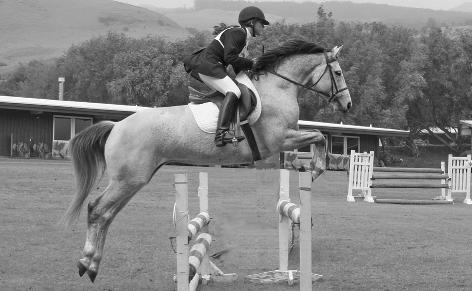 8 Jump with Joy: Positive Coaching for Horse and Rider A good jumper pushes off the ground with both hind legs together, and folds front and back legs evenly.
