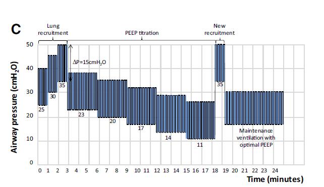 RECRUITMENT AND PEEP DETERMINATION Stepwise increase in PEEP fixed insp pressure of 15cmH20 (driving