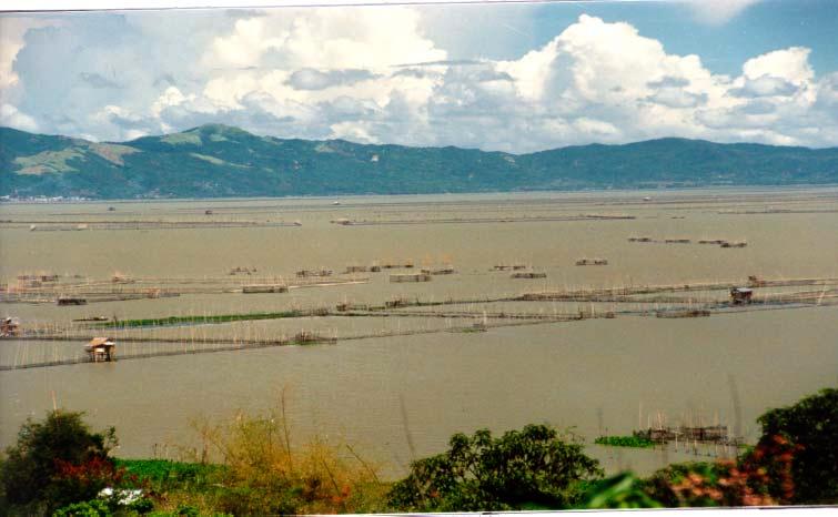 Aquaculture Development and Management in Laguna de Bay Lennie C.
